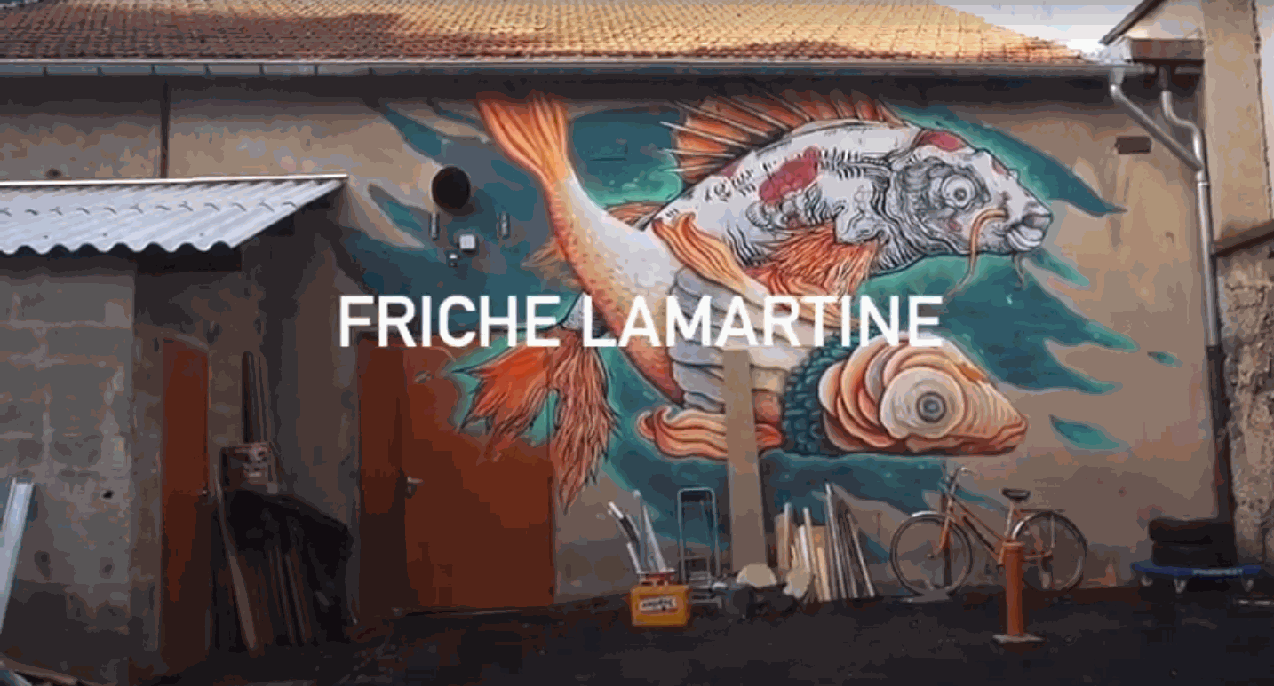 Odoo • Image et Texte