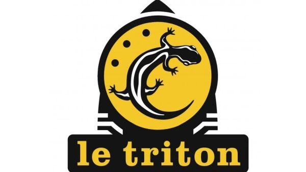 Odoo • Image et Texte