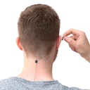 BBI stéréo - IEM standard